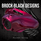 Harley davidson Punisher fairing batwing